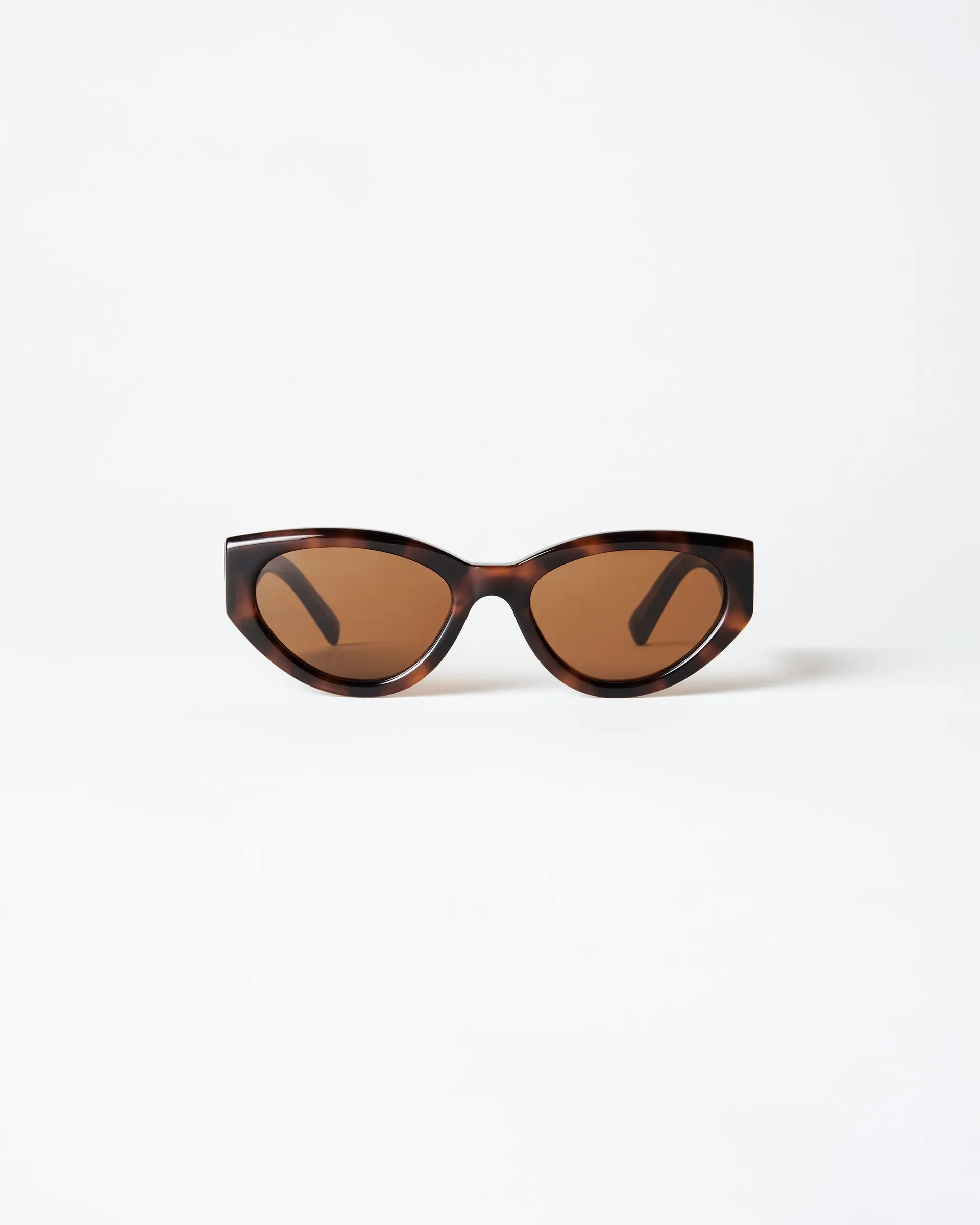 CHIMI 06 Tortoise