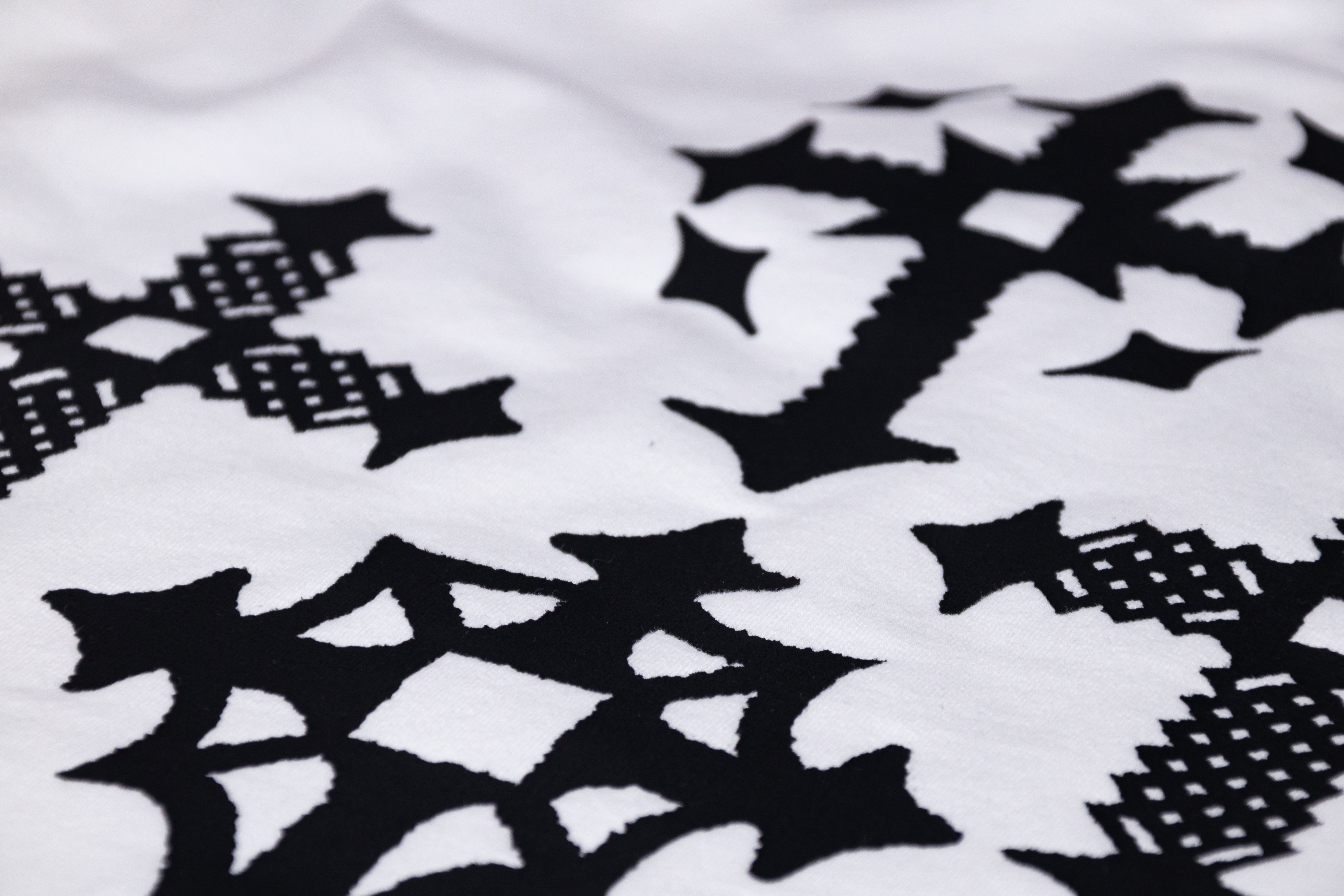 Karont Prophecy Long Tee