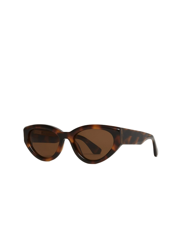 CHIMI 06 Tortoise