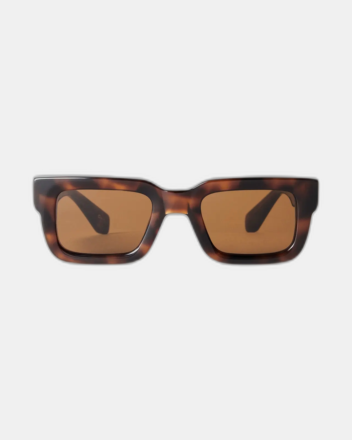 CHIMI 05 Tortoise