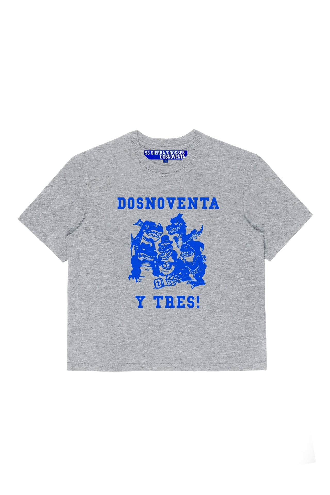93 SIERRA/CROSSES DSNVSC Dice Gray T-shirt