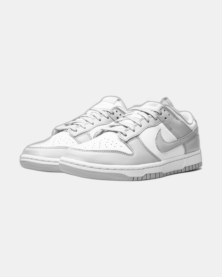 Nike Dunk Low Gray Fog