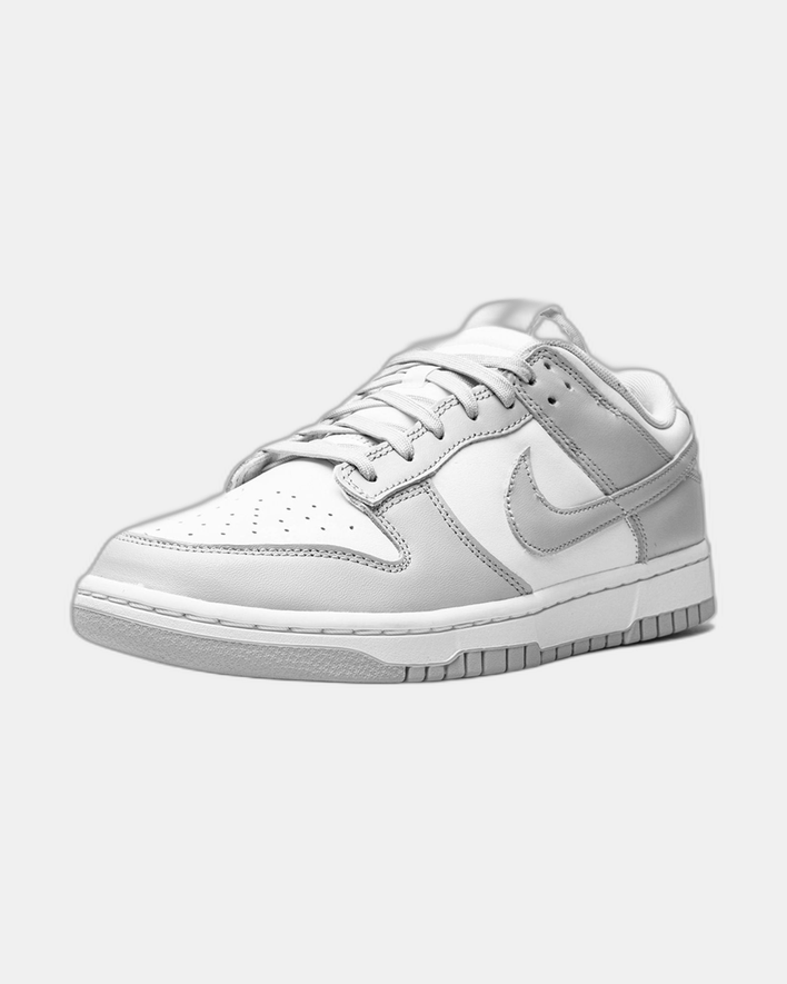 Nike Dunk Low Gray Fog