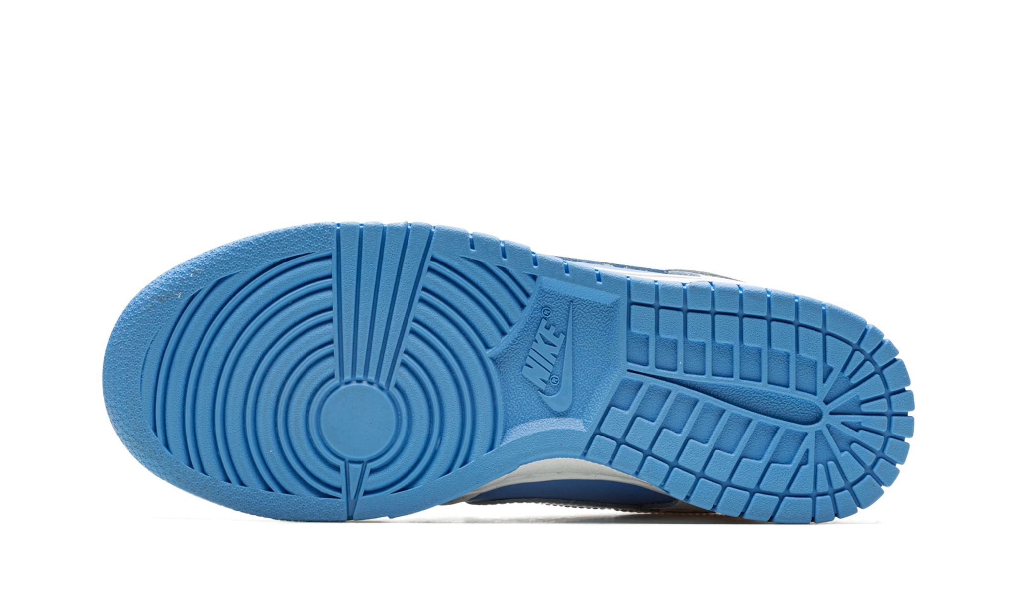 Nike Dunk Low Reverse UNC (W)