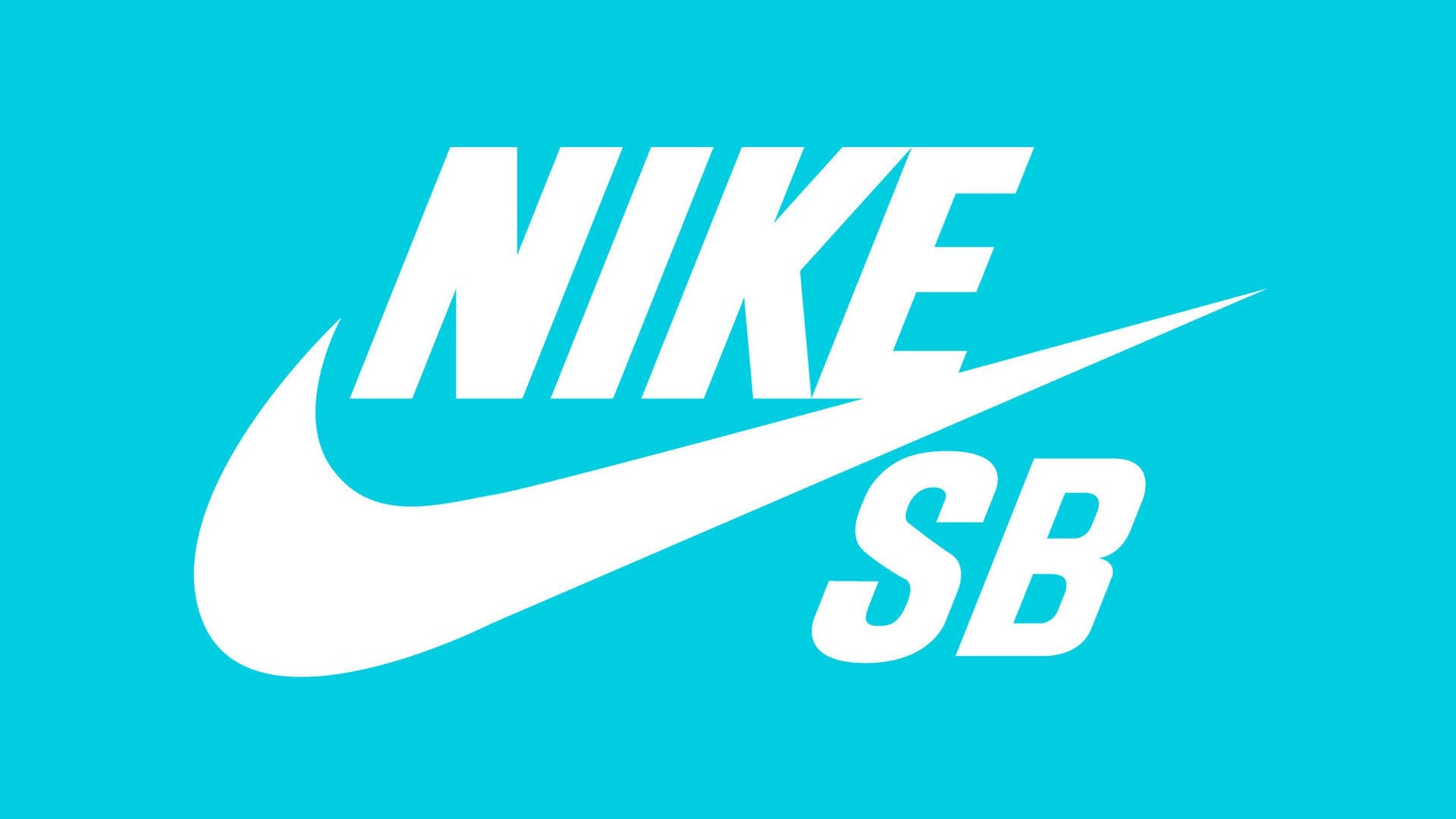 NIKE SB