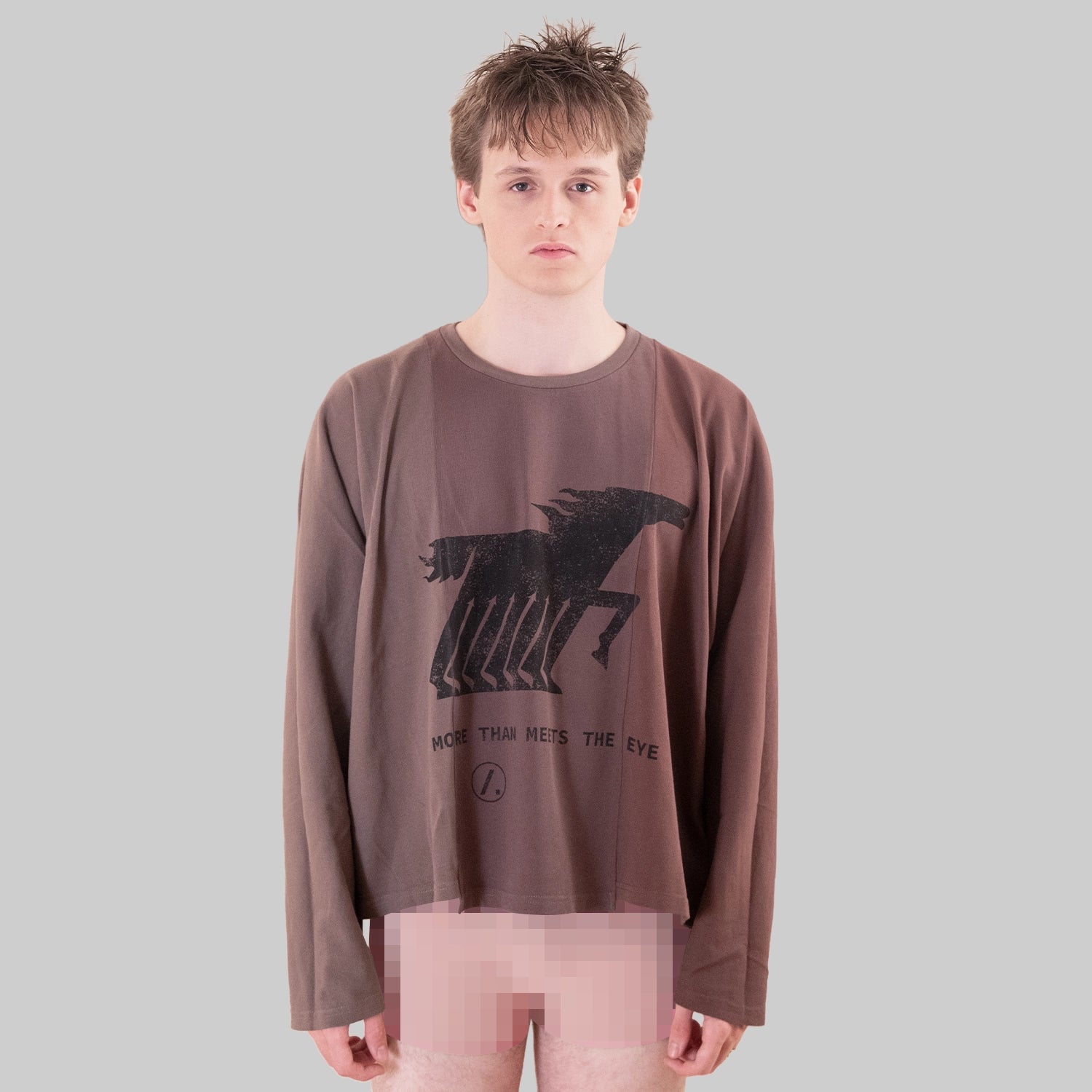 Classified Statement Longsleeve Brown