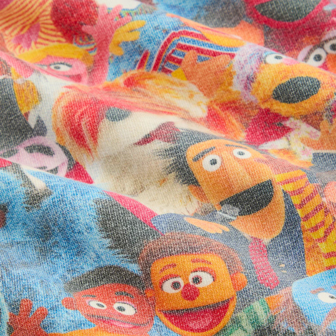 Kith x Sesame Street Family Williams III Hoodie Multi